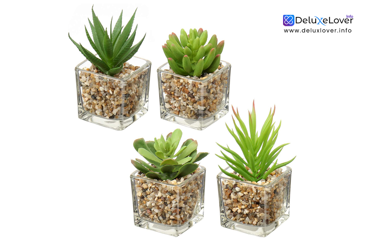 Briful Artificial Succulent Plants in Clear Glass Pots – Set of 4 Mini Faux Potted Plants for Indoor Decor, Small Fake Succulents for Office Desk, Shelf, Bathroom, Window Sill & Tabletop