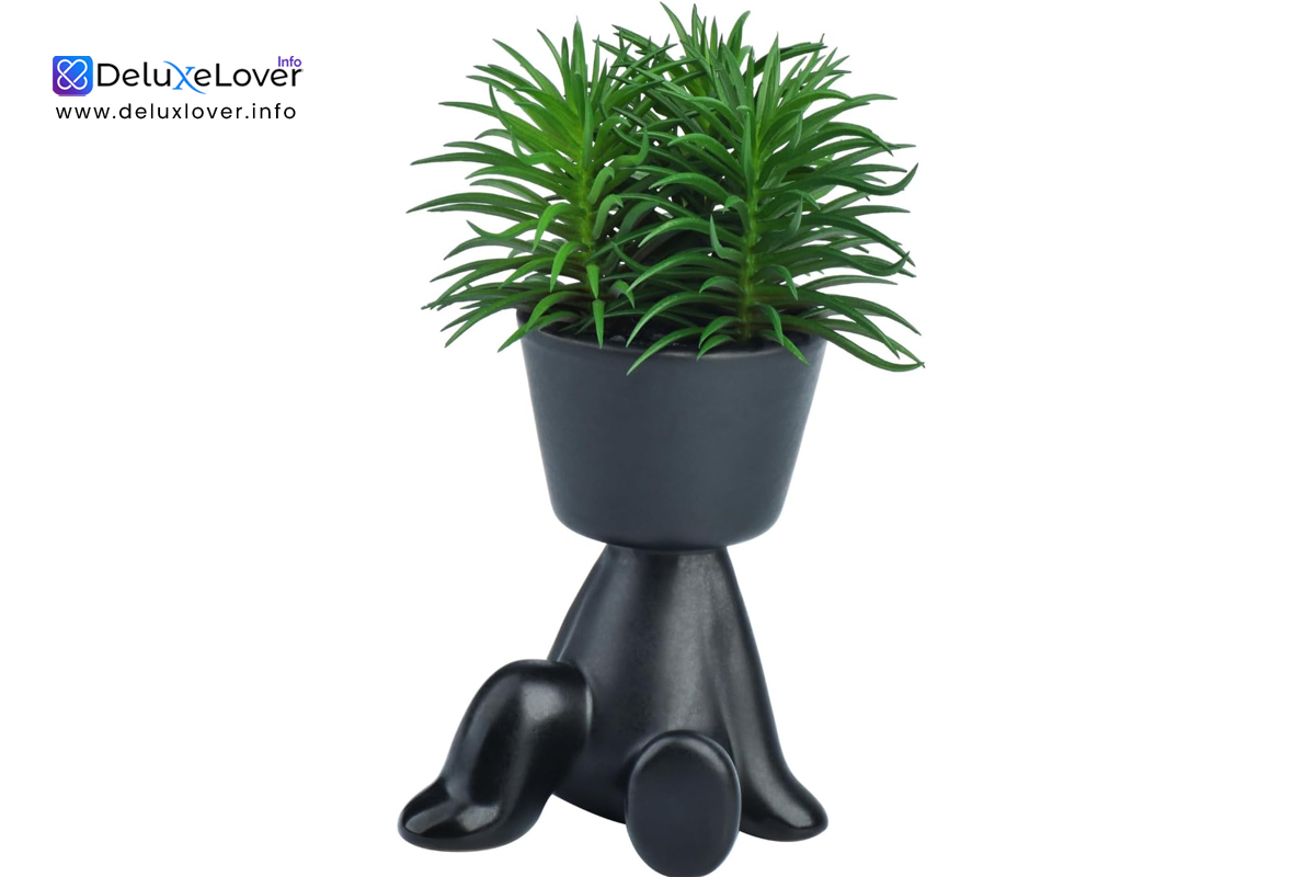 Small Artificial Succulent Plants in Ceramic Pots – Faux Indoor Plants for Home, Kitchen, Office & Shelf Decor – Backward Arm Support Design