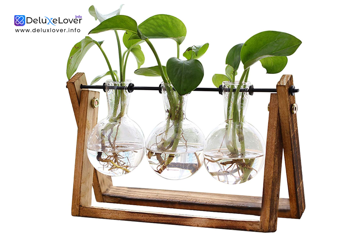 XXXFLOWER Hydroponic Terrarium with Wooden Stand – 2 Bulb Glass Vase Planter with Metal Swivel Holder, Retro Propagation Station for Water Plants, Air Plants & Home Office Decoration – Plant Lover Gift