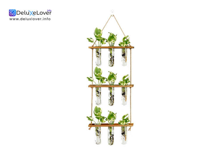 XXXFLOWER Wall Hanging Propagation Station – 9 Glass Tube Planters with Wooden Stand, Tiered Wall Terrarium for Hydroponic Plant Cuttings, Hanging Flower Vases & Home Office Wall Decor